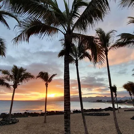 شقة Buena Pesca 7