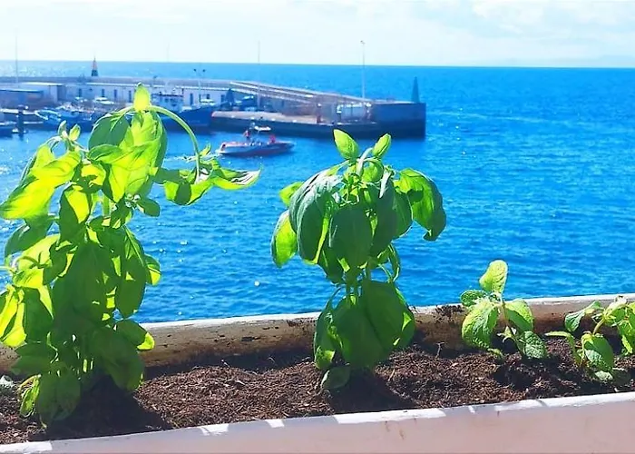 شقة Buena Pesca 7